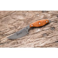 Lioness Rockies Edition